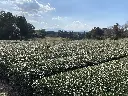 IMG_1107-scaled.webp