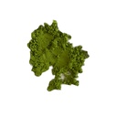 Zen Matcha 30g Superior NEW