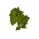 Zen Matcha 30g Superior