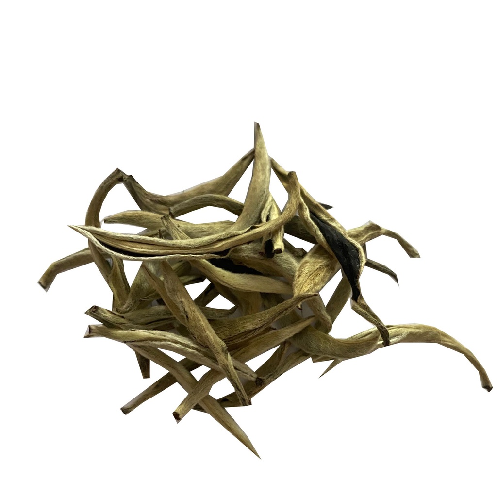 [TEA-10979-50G] Silver Needle (NEW !!) (50g)