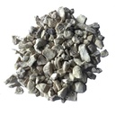 Gember infusie