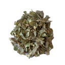 Linden infusion